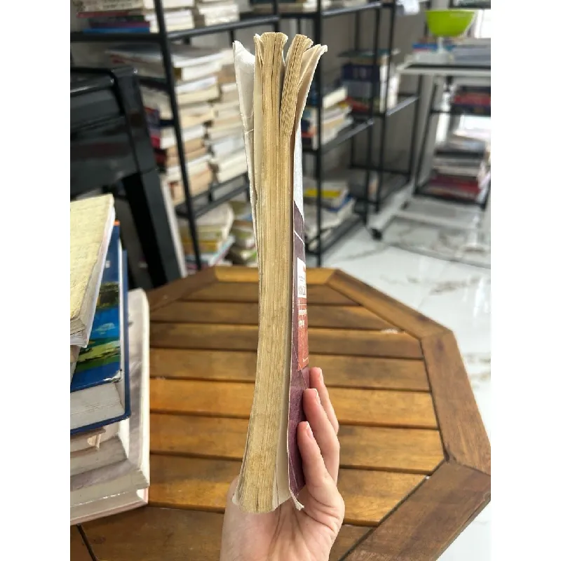 Ngô Tất Tố và Tắt đèn – Phan Cự Đệ (chủ biên) 594116