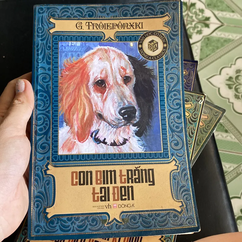 Con Bim trắng tai đen 593836