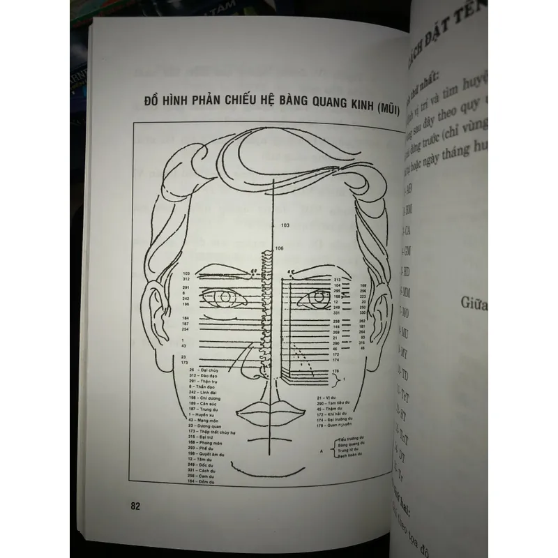 Diện chuẩn điều khiển liệu pháp 736736