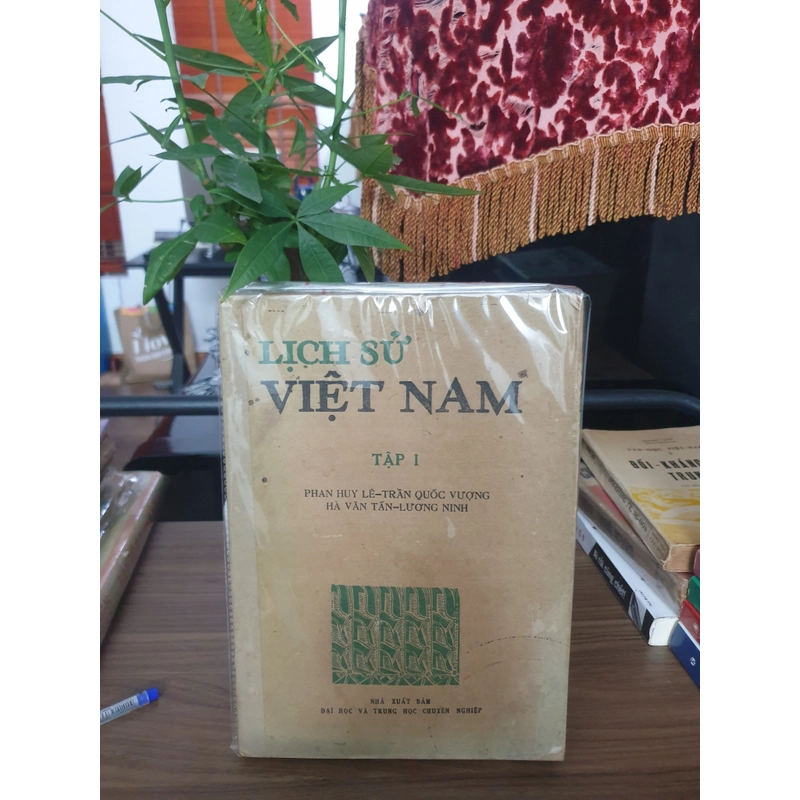 Lịch Sử Việt Nam (4 cây đại thụ Viện Sử Việt Nam rất hiếm hoi) 478997