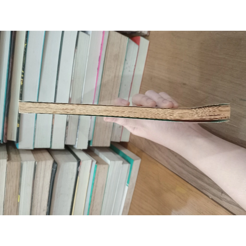 DANNY THE CHAMPION OF THE WORLD - Roald Dahl 141900