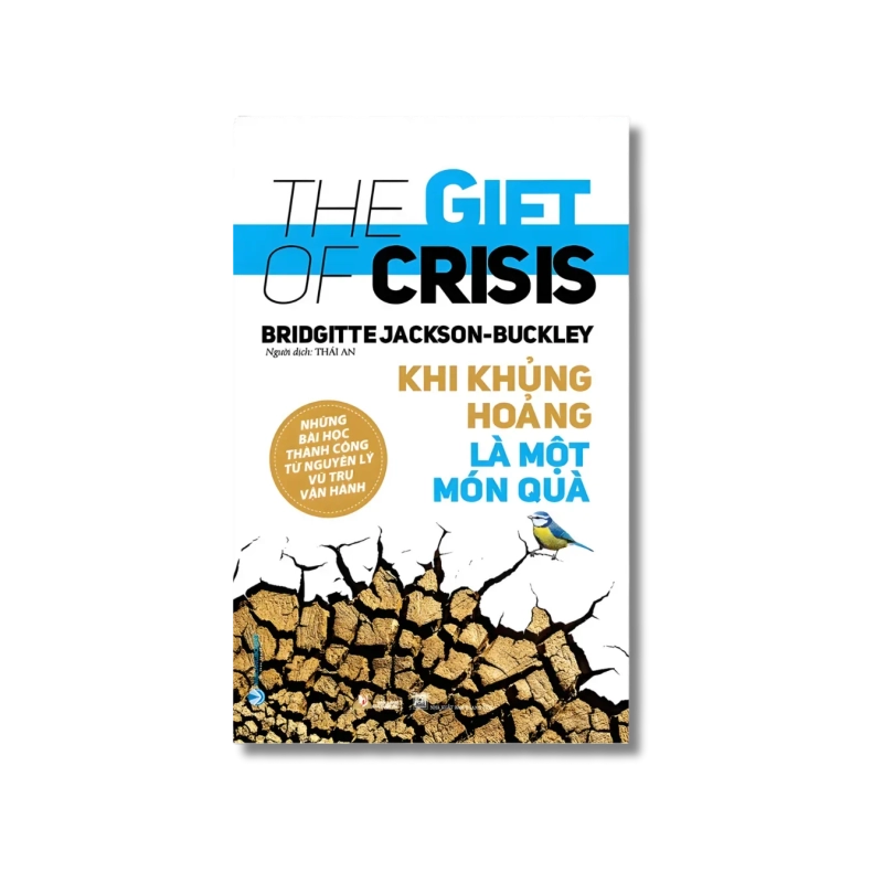 Khi khủng hoảng là một món quà - Bridgitte Jackson Vanvosach 724206