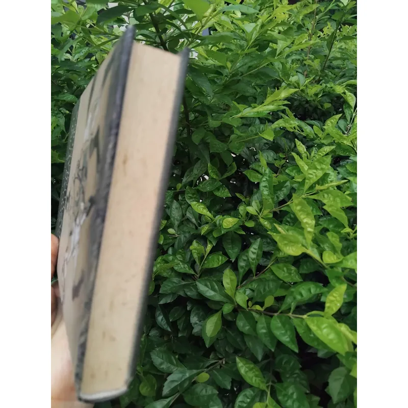 Du ngoạn vòng quanh châu Á trên lưng ngựa của Công tước Viazemski 1020852