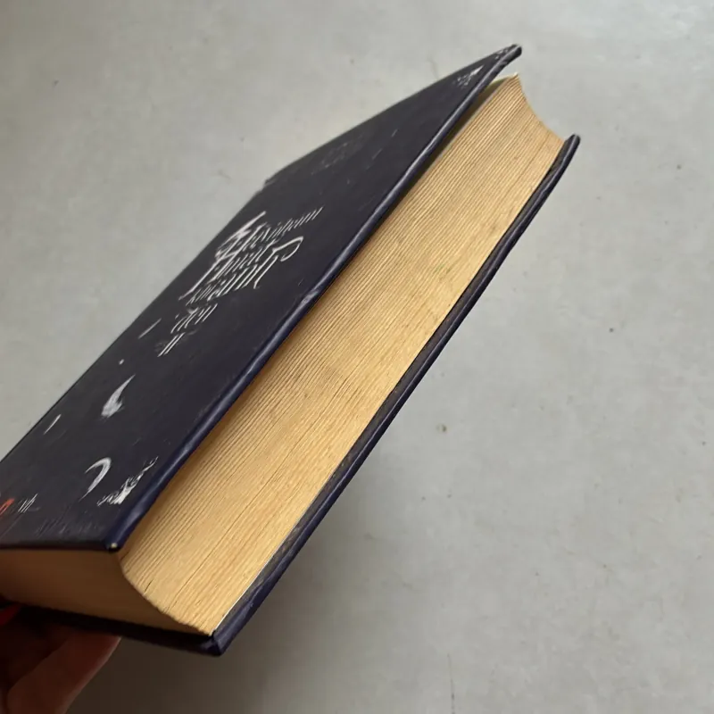 Hãy nhắm mắt khi anh đến Tập 2 ( bìa cứng) - Đinh Mặc 789327