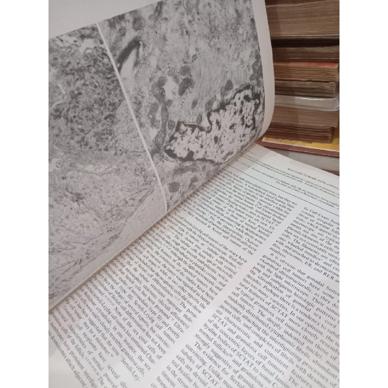 American journal of clinical pathology 777067