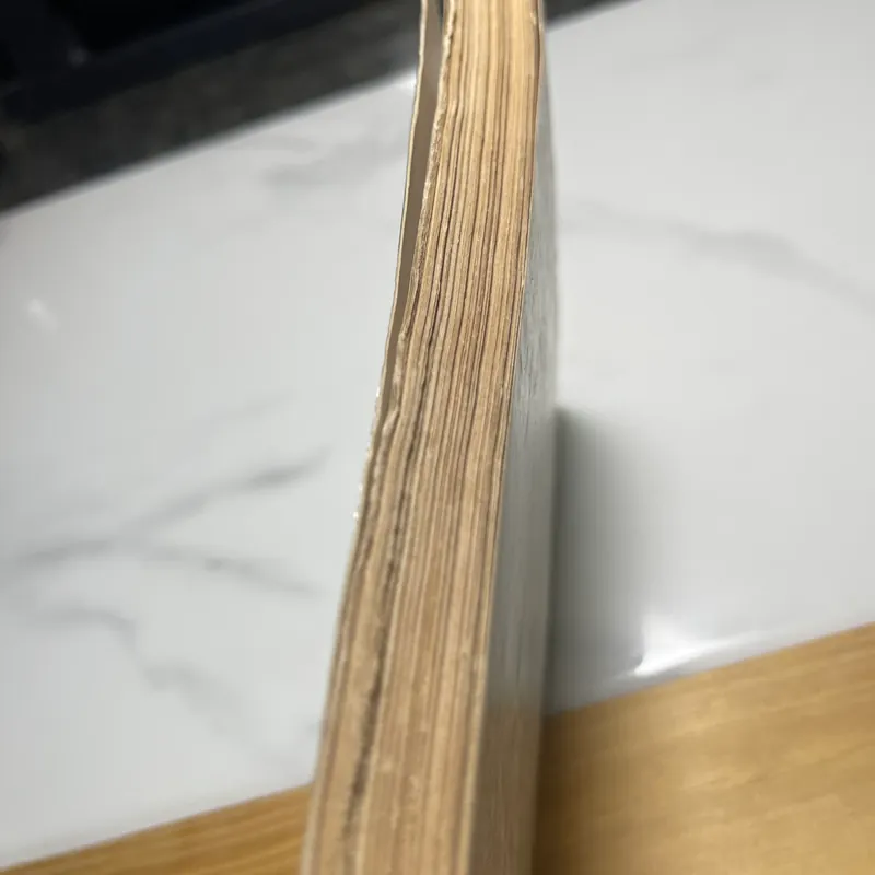 Loài mèo Tác phẩm tuổi xanh Tập truyện ngắn chọn lọc 562042