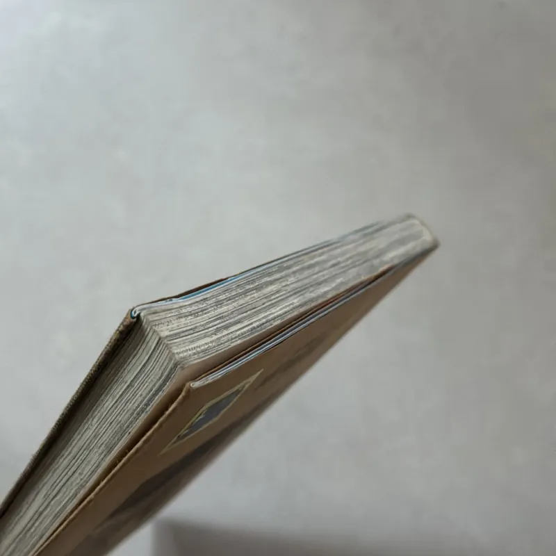 Chainsaw man 4 (không pk) 960727