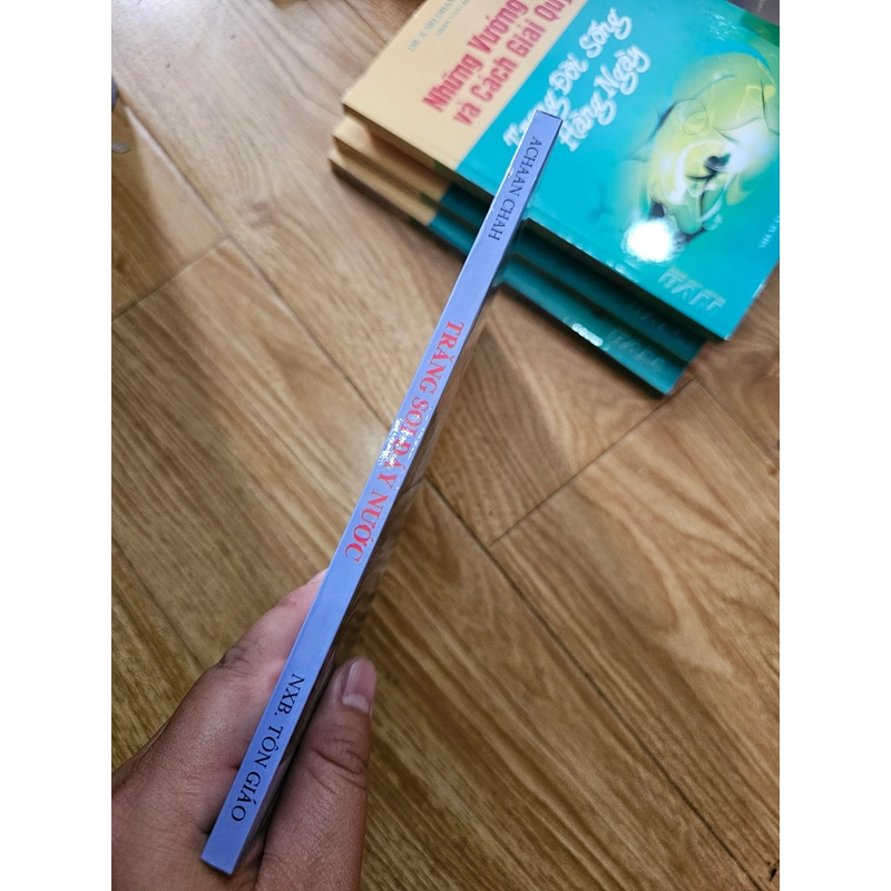 Trăng soi đáy nước  407980
