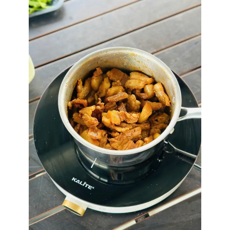 Bếp từ đơn Kalite Power S8 792931