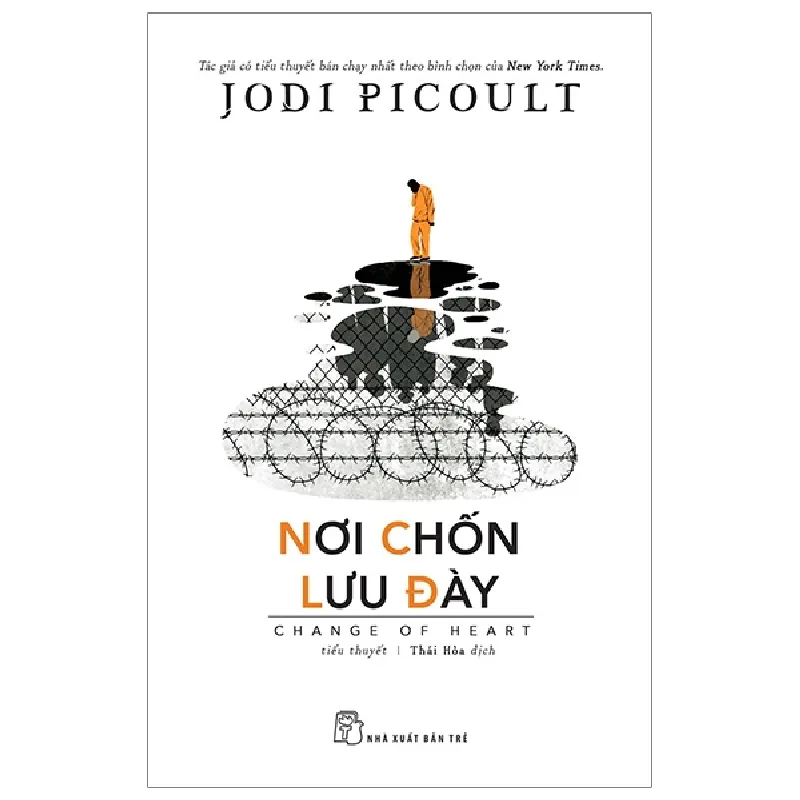 Nơi Chốn Lưu Đày - Jodi Picoult 289883