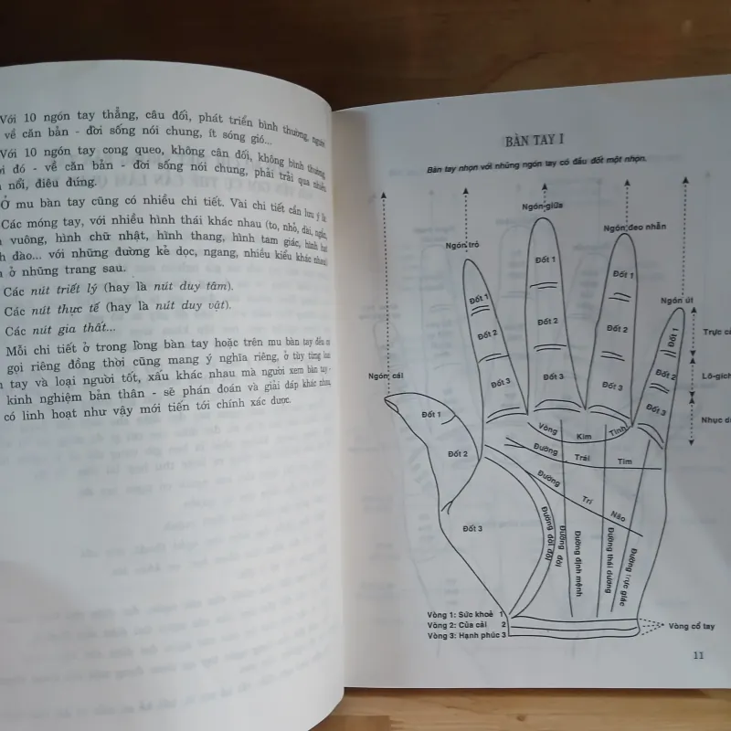 Tiếng Nói Của Bàn Tay (Sách Nghiên Cứu) - Nguyễn Đình Phúc 577466