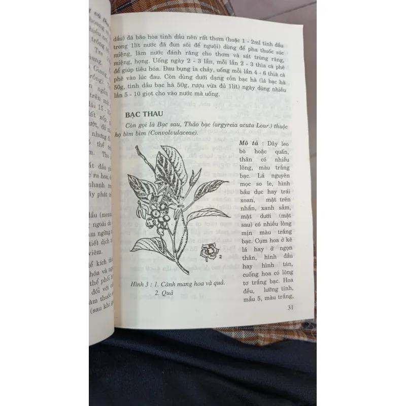 CÂY THUỐC TRỊ BỆNH THÔNG DỤNG - VÕ VĂN CHI 746969