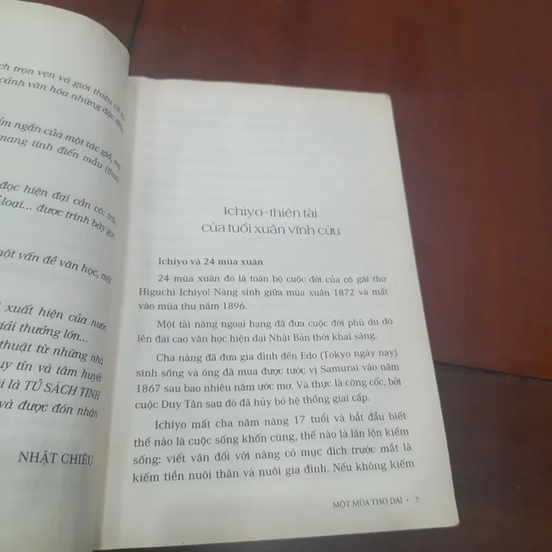 Higuchi Ichiyo - MỘT MÙA THƠ DẠI 738154