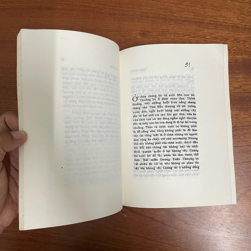II Tựa sách: Tâm Quán Tình Người (Truyện) - Lá Bối 472297