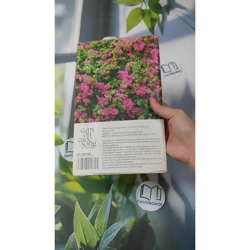 Cảm Ơn Cuộc Sống Một Lần Nữa 1018888