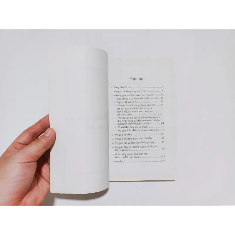 Những Giấc Mơ Của Tôi - Tạ Duy Anh 1040005
