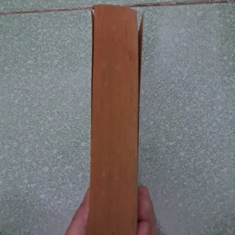 Die trying của lee child 996787