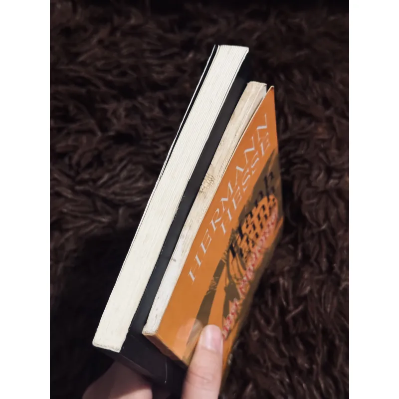 Combo Herman Hesse 996749