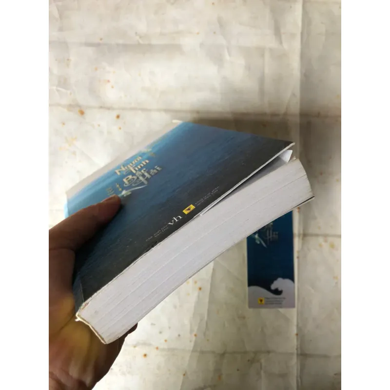 Người Tình Bắc Hải - Thiên Tầm 974421