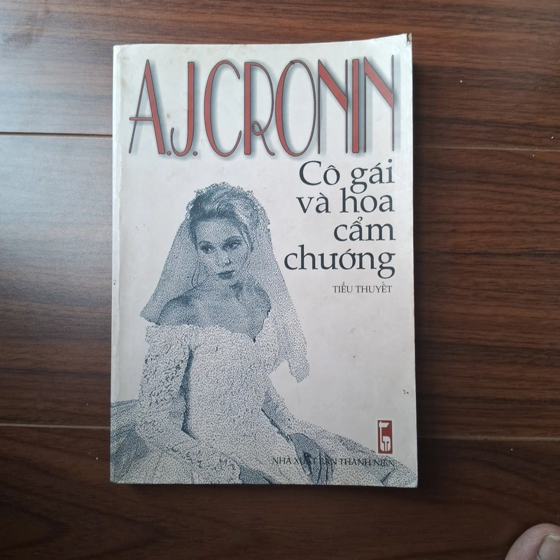 Cô gái và hoa cẩm chướng 505784