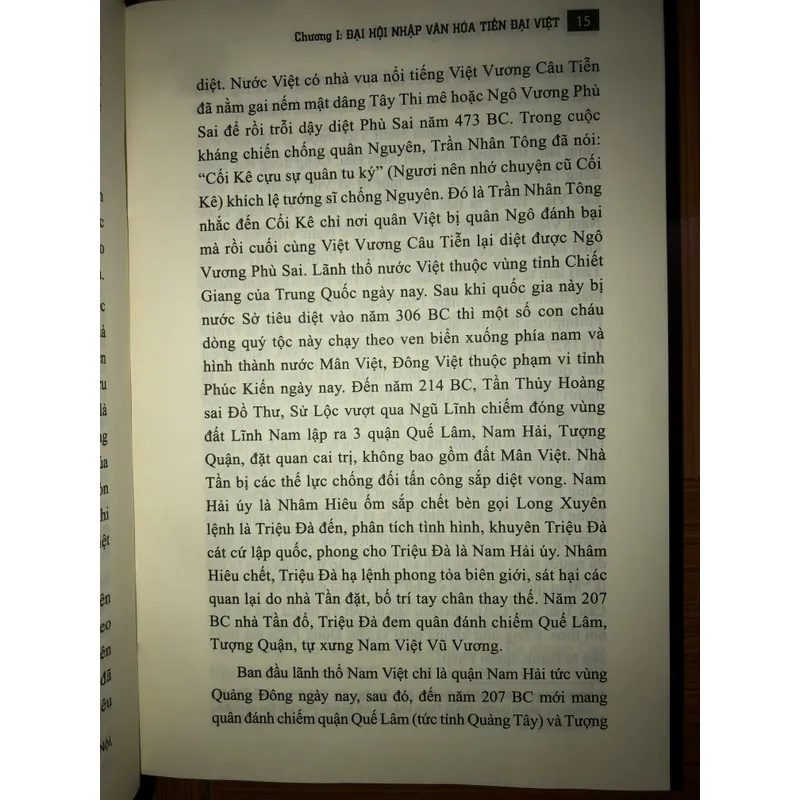 Văn minh Đại Việt 698436