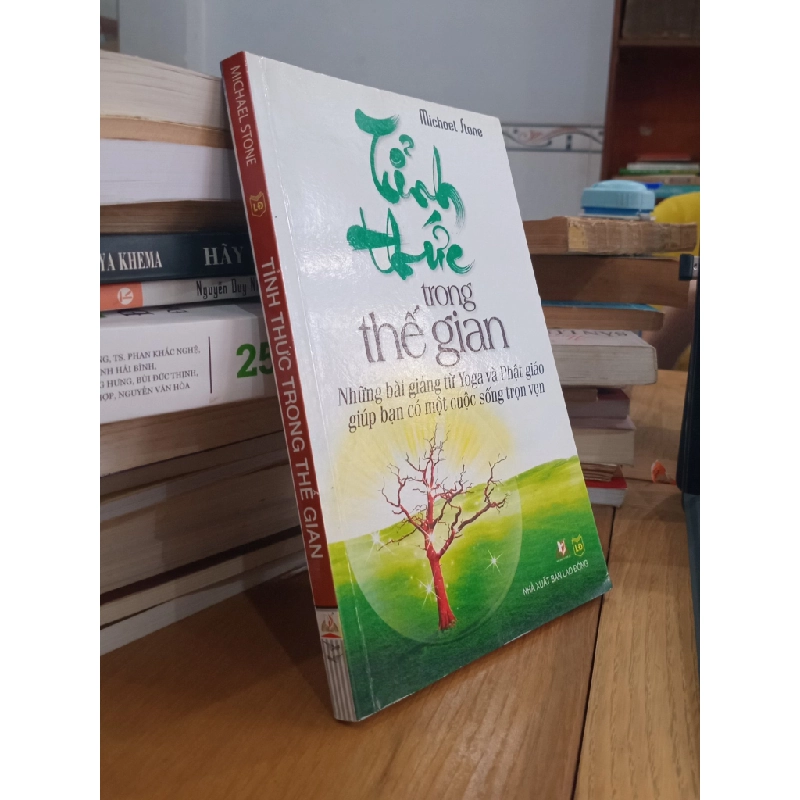 Tỉnh thức trong thế gian - Michael Stone 525069