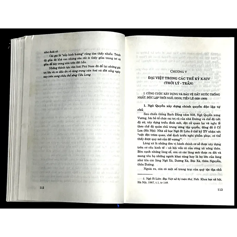 LỊCH SỬ VIỆT NAM GIẢN YẾU - Gs. LƯƠNG NINH ( Chủ biên) 1009598