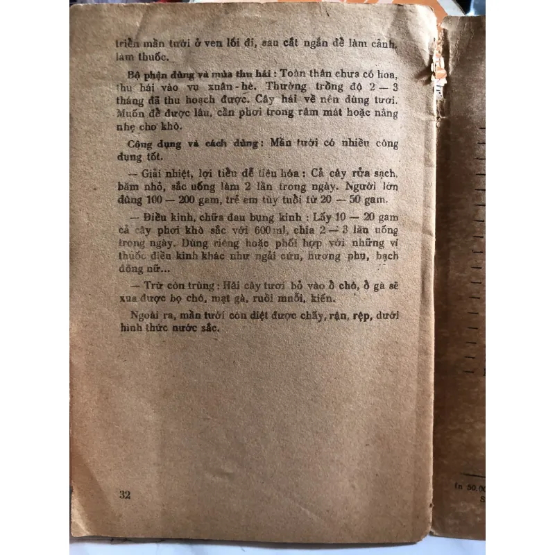 Cây thuốc gia đình - Đỗ Huy Bích  1010155