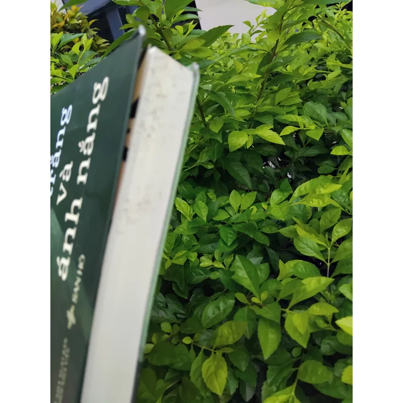 Đen, trắng và ánh nắng tiểu thuyết của Nam Quảng Tử 995298