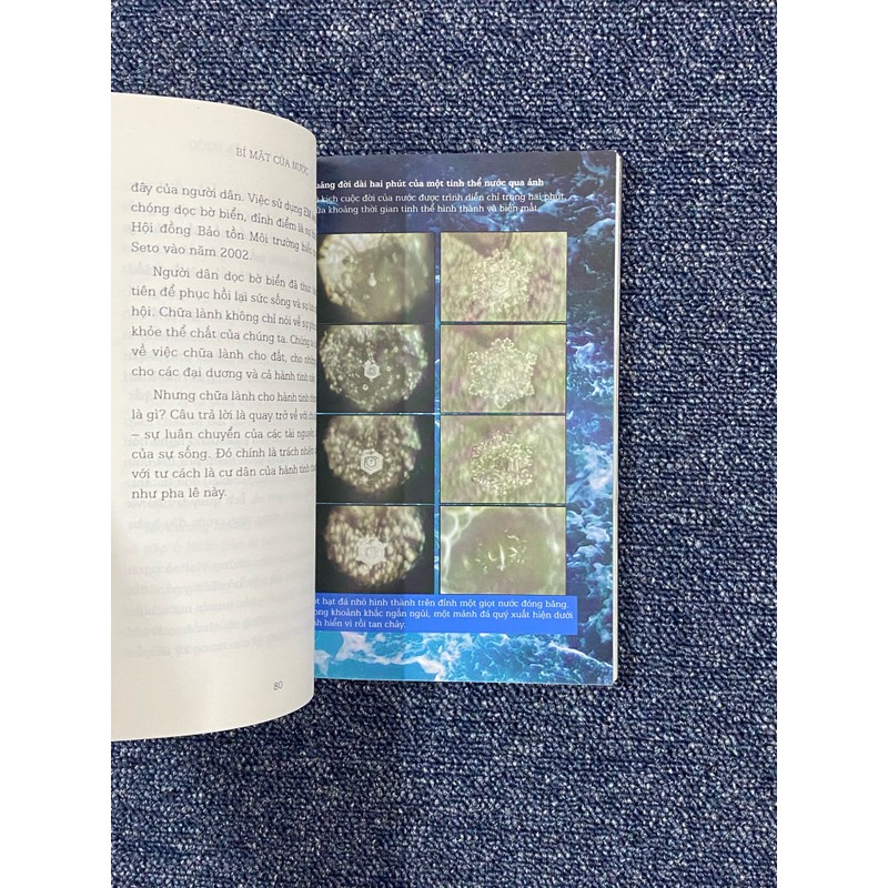 Bí mật của nước - Thaihabook 184086