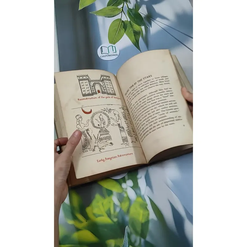 Clocks Tell the Time - Ocean House 750750