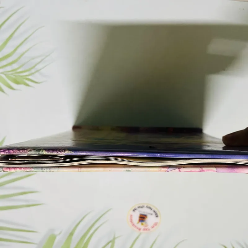 Fairy Secrets – A Magical Secret Envelope Book 690033