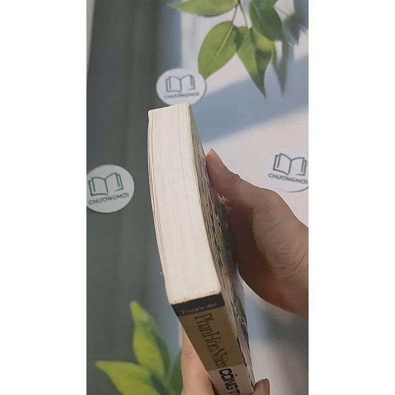 Công ty - Phan Hùng Nhiên 688482