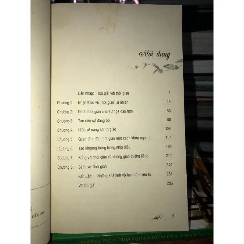 Đức Phật và thời gian - Lama Surya Das 745925