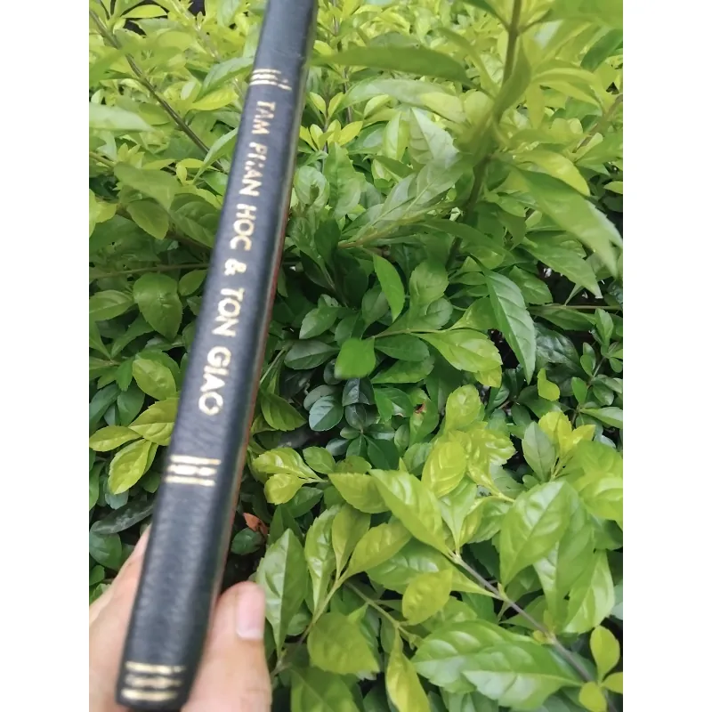 Tâm phân học và tôn giáo của Erich From 974325