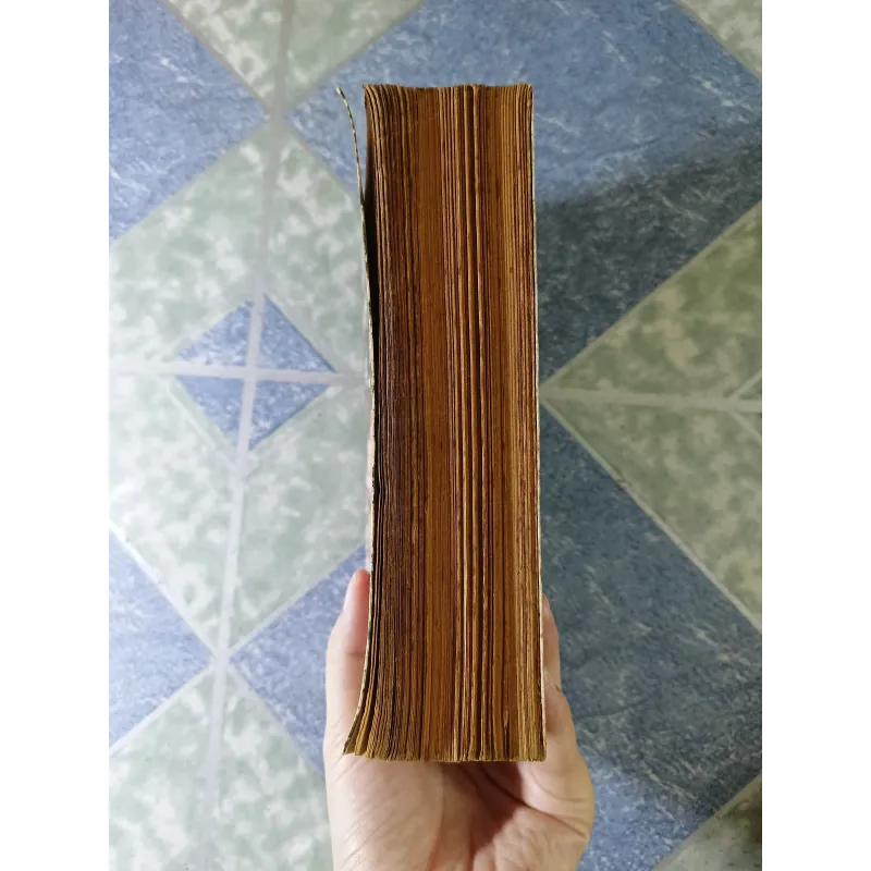 chiến tranh và hòa bình ( tập 1) - Leon Tolstoi 705051