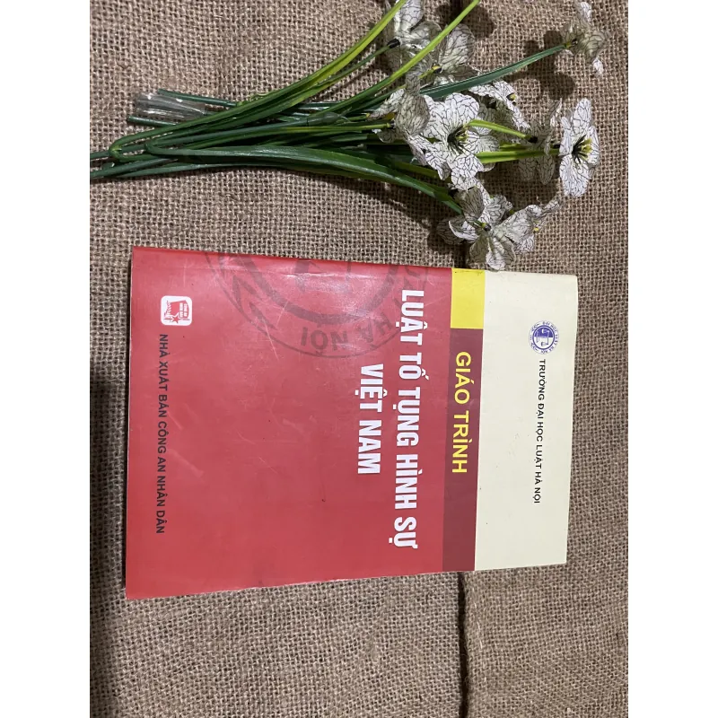 Giáo trình luật tố tụng Việt Nam , gần 500 trang  797687