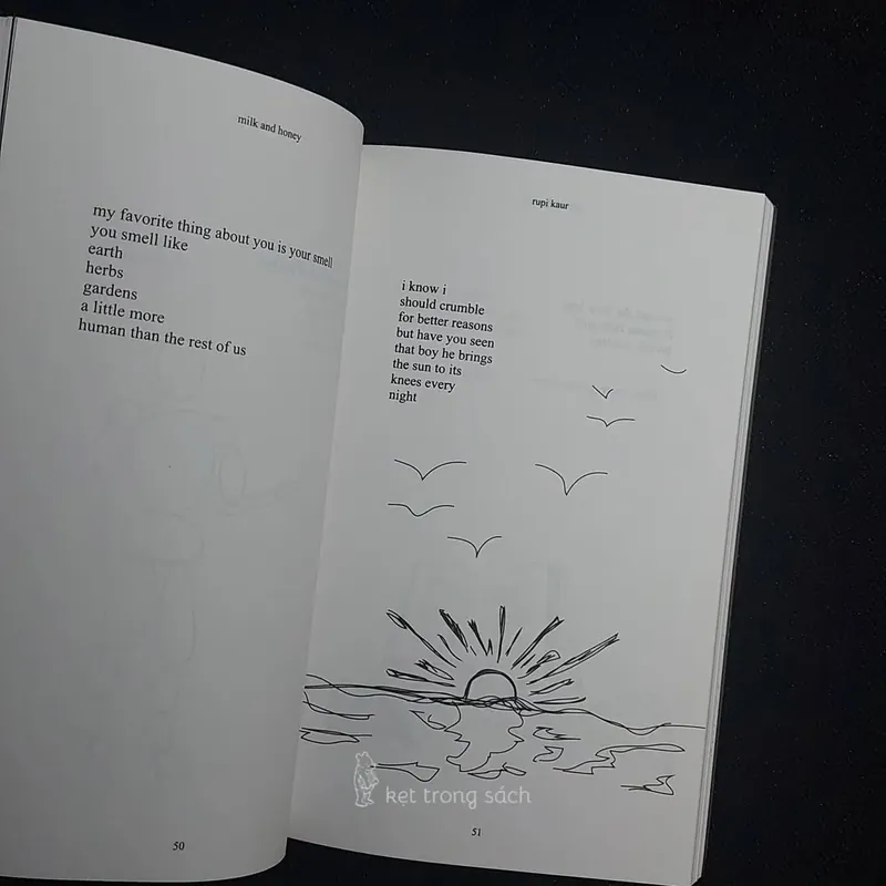 [Sách Cũ Ngoại Văn] Milk & Honey - Rupi Kaur 564142