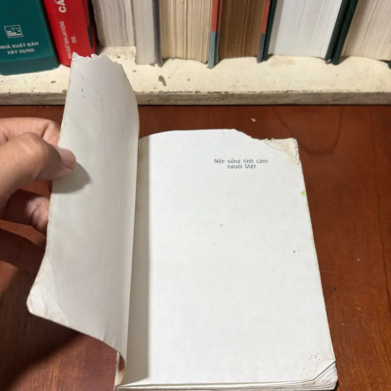 II Văn Hoá Việt Nam: Nếp Sống Tình Cảm Người Việt (Sách Tham Khảo) - 2003 752236