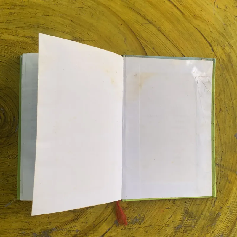 ĐỒI GIÓ HÚ - EMILY BRONTI 1003078