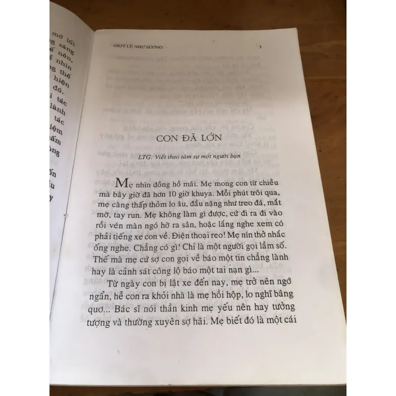Giọi lệ như sương 1039977