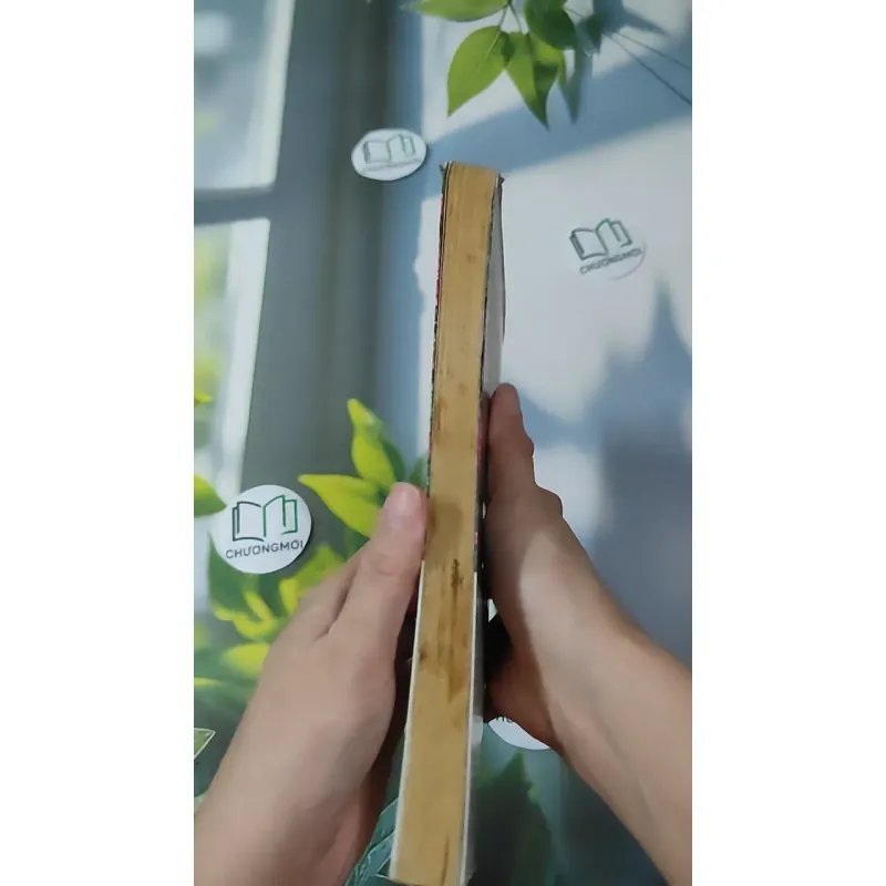 Cảm Ơn Cuộc Sống Một Lần Nữa 1018888