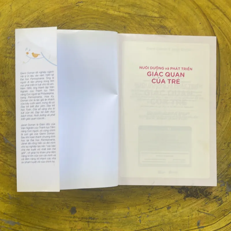 NUÔI DƯỠNG VÀ PHÁT TRIỂN GIÁC QUAN CỦA TRẺ - GLENN DOMAN & JANET DOMAN 998442