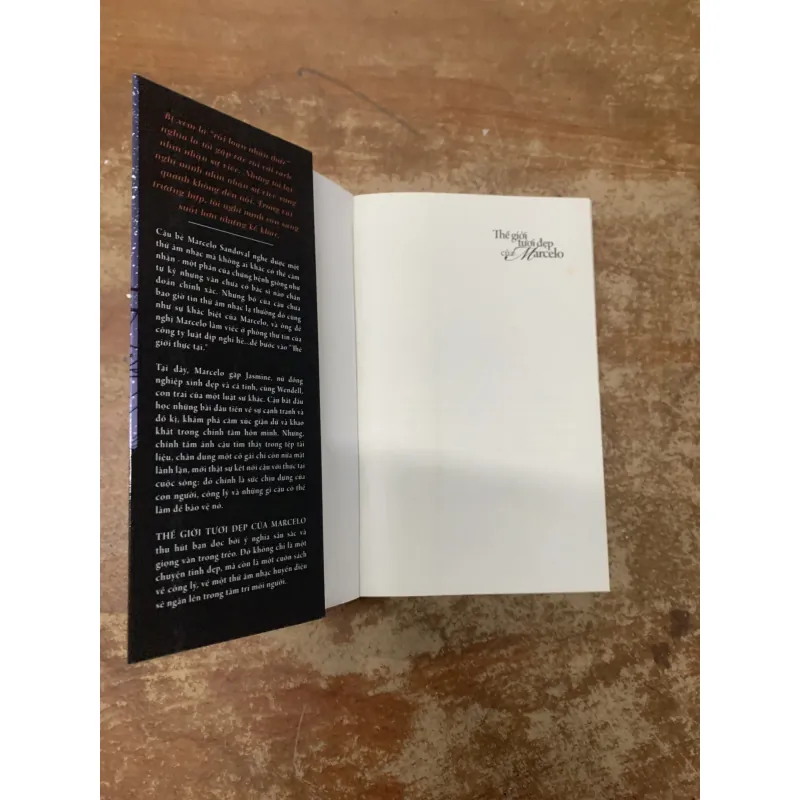 THẾ GIỚI TƯƠI ĐẸP CỦA MARCELO - FRANCISCO X. STORK 745533