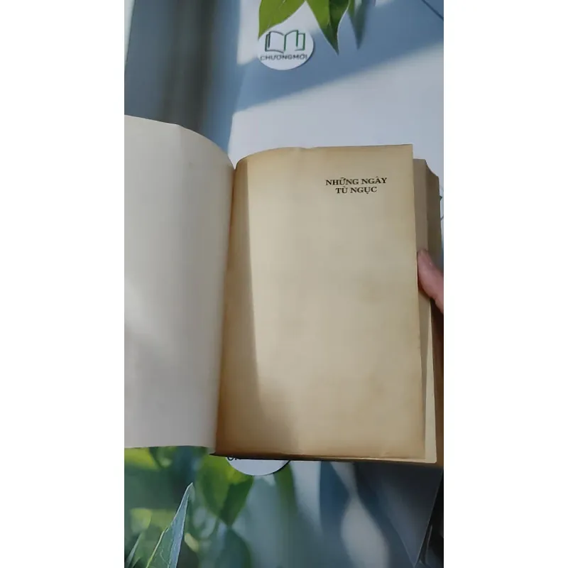 [XƯA] Những Ngày Tù Ngục (1995) - Hàn Song Thanh 928588