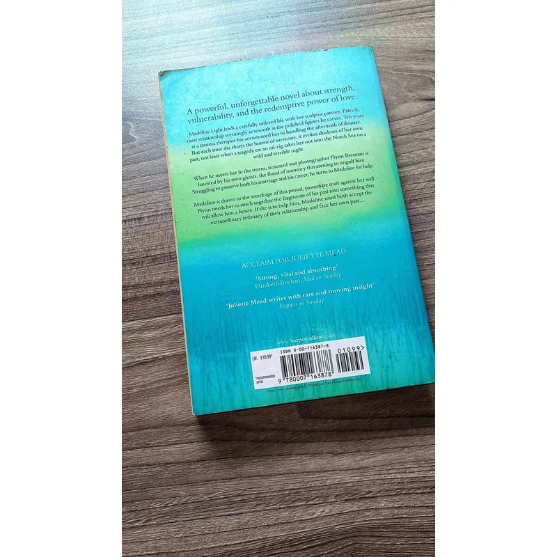 Healing Flynn -
Juliette Mead (preloved books) 722903