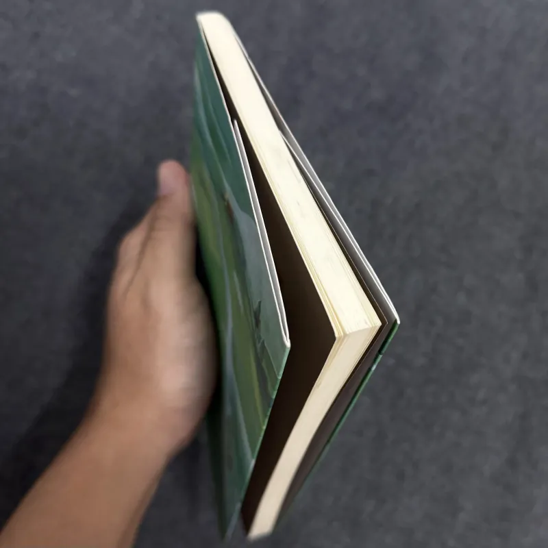 Tạp văn Nguyễn Ngọc Tư 996765