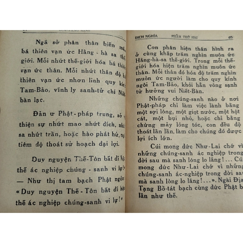Kinh Địa Tạng Bồ Tát Bổn Nguyện - Dịch Giả Thích Trí Tịnh 192360