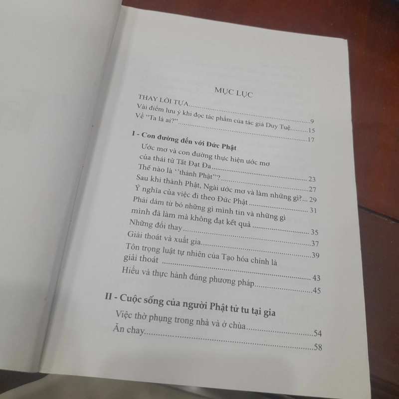 Duy Tuệ - "Ta là ai?", Thông tỏ sự hiểu lầm sau ngàn năm 380794