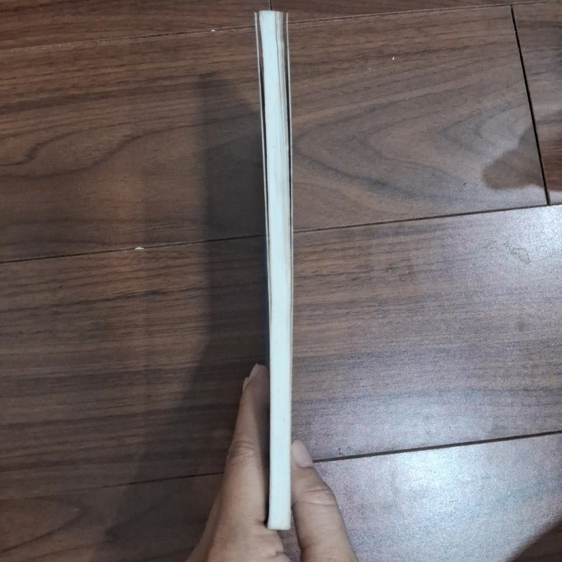Chiếc áo lặn và con bướm 508037